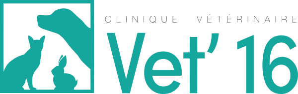 Clinique Vétérinaire Vet'16
