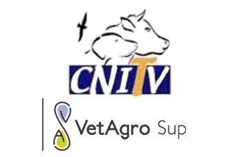CNITV