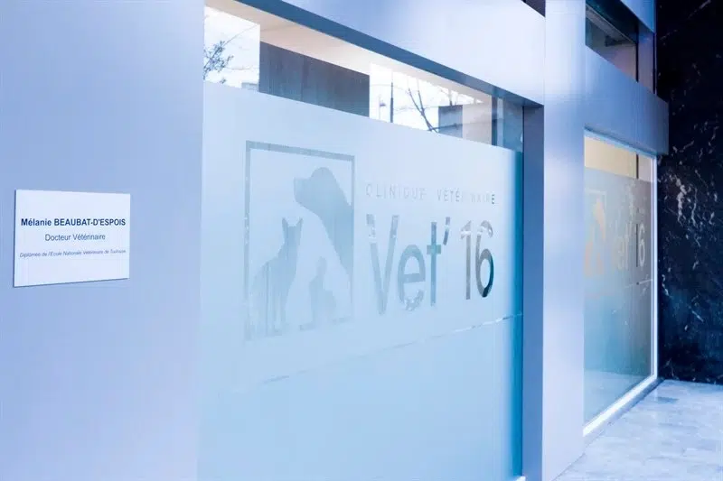 Veterinaire-paris-16-eme-entree Veterinaire-paris-16-eme-entree