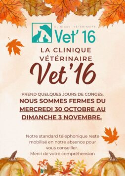 Vacances-de-Toussaint-la-clinique-Vet-16-est-fermee-e1729847808283.jpg