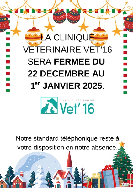 Vacances-de-Noel-la-clinique-Vet-16-fermee.jpg