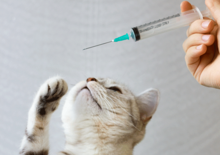 Vaccins